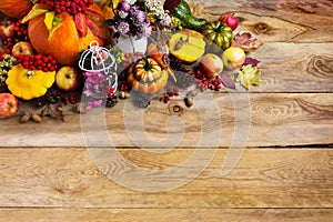Thanksgiving background with pumpkins, decorated birdcage, copy