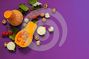 Thanksgiving background - pumpkins and other on the purple background