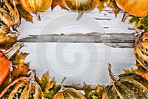 Thanksgiving background. Pumpkins on a white wooden background. Free space for text. View from above.