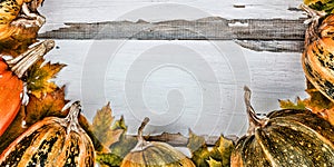 Thanksgiving background. Pumpkins on a white wooden background. Free space for text. View from above.