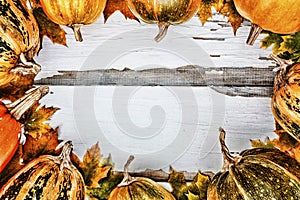 Thanksgiving background. Pumpkins on a white wooden background. Free space for text.