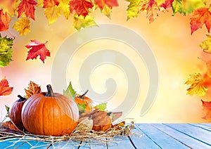 Thanksgiving Background - Pumpkins On Wooden Plank