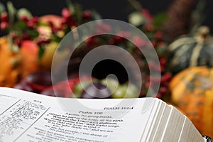 Thanksgiving Bible and cornucopia photo