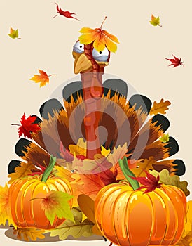 Thanksgiving card with a cartoon image of a funny turkey with a puffy tail in a pile of maple and oak leaves, surrounded by ripe o