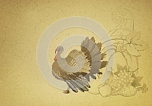Thanksgiving card with turkey