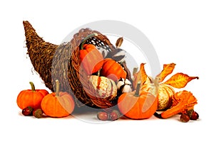 Thanksgiving cornucopia with pumpkins isolated on white