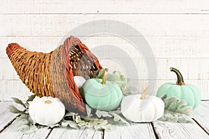 Thanksgiving cornucopia with white and teal pumpkins against white wood