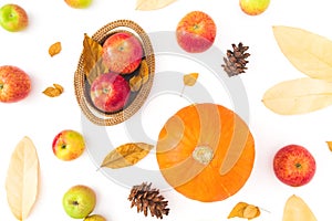 Thanksgiving day background made of fall dried leaves, pine cones, apples and pumpkin on white background. Flat lay, top view