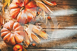 Thanksgiving day background. Orange pumpkins