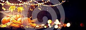 Thanksgiving Day background. Wooden table with pumpkins and corncobs