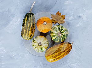 Thanksgiving day composition of vegetables and fruits on gray background. Autumn harvest concept.