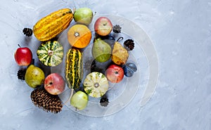 Thanksgiving day composition of vegetables and fruits on gray background. Autumn harvest concept.