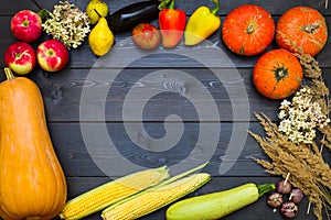 Thanksgiving Day. Frame made of vegetables and fruits. Gifts of