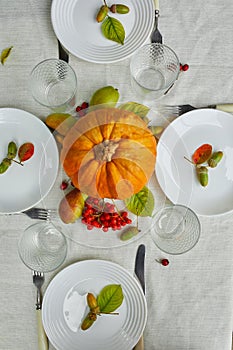 Thanksgiving Day or Halloween dinner table place setting