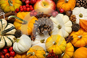 Thanksgiving day. Many different pumpkins, pine cones and berries as background, top view