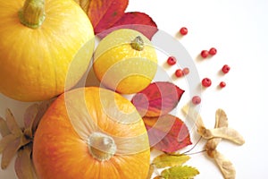 Thanksgiving Day. Pumpkins, autumn leaves and rowan berries