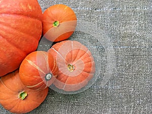 Thanksgiving Day. Pumpkins of different sizes on a grey burlap.