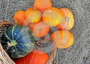 Thanksgiving Day. Pumpkins of different sizes on a grey burlap.