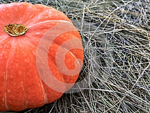 Thanksgiving Day. Pumpkins of different sizes on a grey burlap.