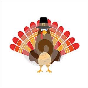 Thanksgiving day red feathers turkey pilgrim hat, flat style, red feathers. Cute cartoon.
