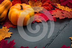 Thanksgiving day or seasonal autumn holiday setting with pumpkin, squash and fallen leaves on stony background with copy space.