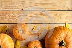 Thanksgiving day table with ripe orange pumpkins and fallen leaves on wooden background. Flat lay, top view, copy space. Happy