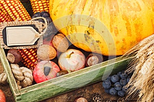 Thanksgiving day: Tray of different autumn harvest