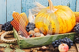 Thanksgiving day: Tray of different autumn vegetables