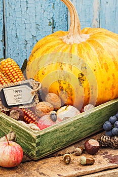 Thanksgiving day: Tray of different autumn vegetables