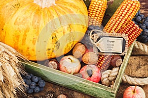 Thanksgiving day: Tray of different autumn vegetables