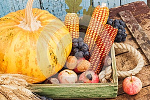 Thanksgiving day: Tray of different autumn vegetables