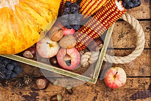 Thanksgiving day: Tray of different autumn vegetables