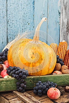 Thanksgiving day: Tray of different autumn vegetables