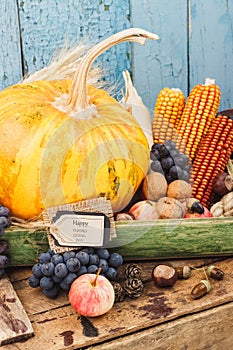 Thanksgiving day: Tray of different autumn vegetables