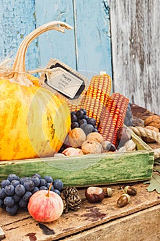 Thanksgiving day: Tray of different autumn vegetables