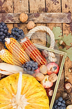 Thanksgiving day: Tray of different autumn vegetables