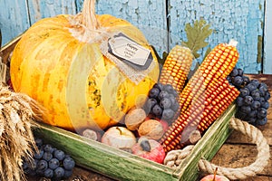 Thanksgiving day: Tray of different autumn vegetables