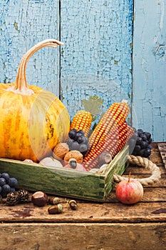 Thanksgiving day: Tray of different autumn vegetables