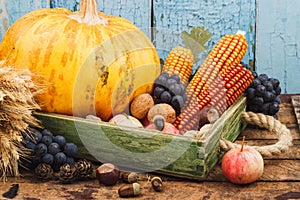 Thanksgiving day: Tray of different autumn vegetables