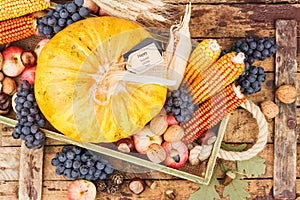 Thanksgiving day: Tray of different autumn vegetables