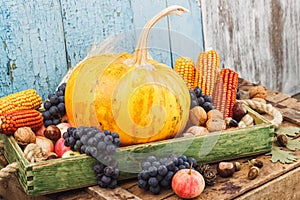 Thanksgiving day: Tray of different autumn vegetables