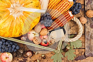 Thanksgiving day: Tray of different autumn vegetables
