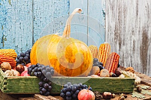 Thanksgiving day: Tray of different autumn vegetables