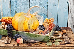 Thanksgiving day: Tray of different autumn vegetables