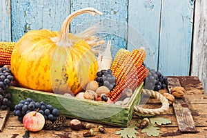 Thanksgiving day: Tray of different autumn vegetables