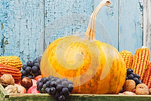 Thanksgiving day: Tray of different autumn vegetables