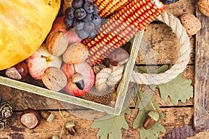 Thanksgiving day: Tray of different vegetables