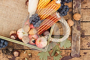 Thanksgiving day: Tray of different vegetables