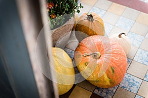 Thanksgiving decorated front door with various size and shape pumpkins and chrysanthemum. Front Porch decorated.