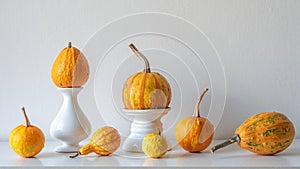 Thanksgiving decoration. Minimal autumn inspired room decoration. Selection of various pumpkins on white shelf.